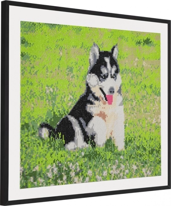 GRAFIX Malowanie Diamentowe Husky 40x50cm