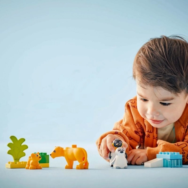Lego Duplo Rodziny dzikich zwierząt: Pingwiny i lwy