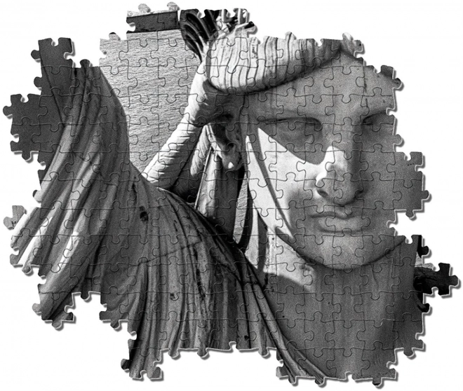 Puzzle 1000 elementów Kolekcja Życia