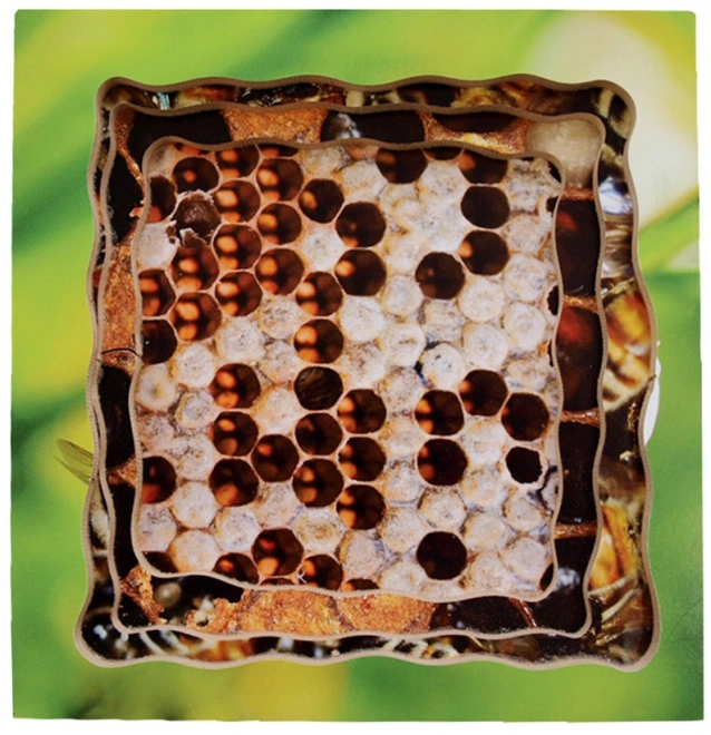 Just Jigsaws 600 Pszczoła – drewniane warstwowe puzzle