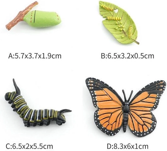 Figurka Motyl w 4 fazach rozwojowych