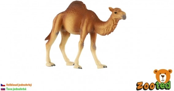 Wielbłąd jednogarbny zooted 13 cm w woreczku