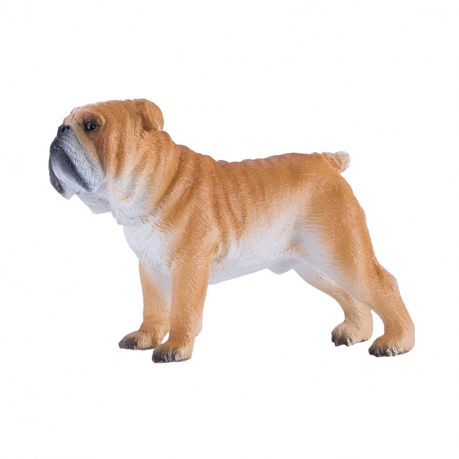 Mojo Buldog Angielski
