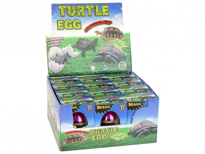 Jajko czarnej żółwia Magic Turtle Egg Growing 6 cm