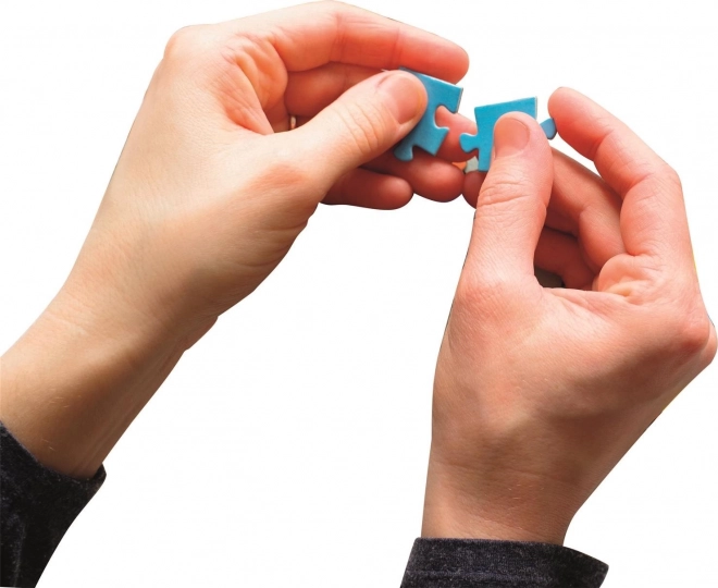 CLEMENTONI Puzzle Piękna i Bestia 1000 elementów