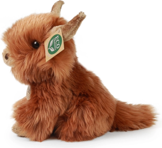 Autentyczny wygląd szkockiej krowy górskiej