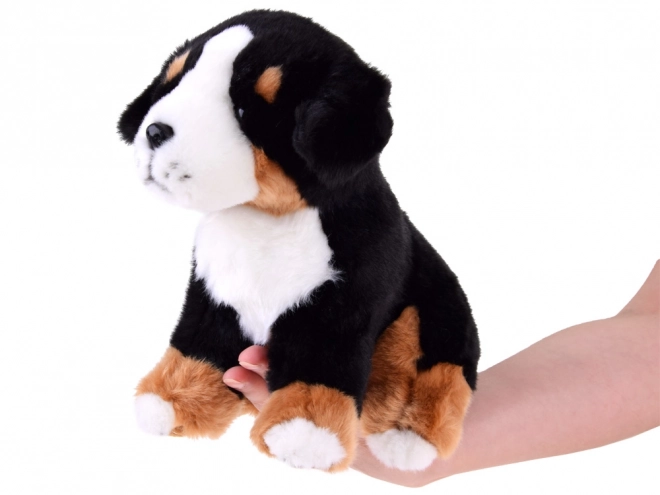 Pluszowy pies Berneński Pies Pasterski - siedzący 20 cm