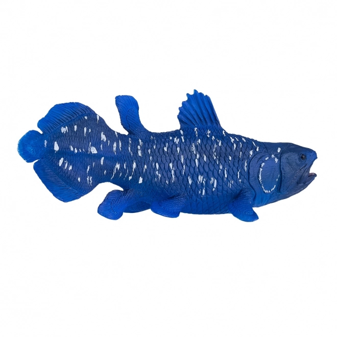 Mojo Latimeria