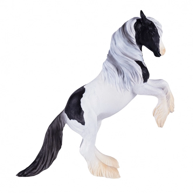 Mojo Ogier Gypsy Vanner
