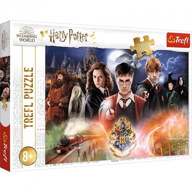Tajemnicze puzzle Harry Potter 300 elementów