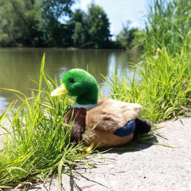 Pluszowa kaczka 20 cm ECO-FRIENDLY