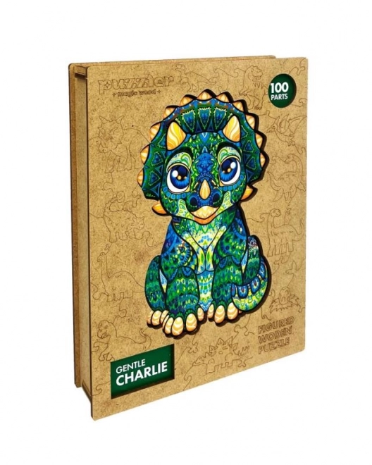 Magiczne drewniane kolorowe puzzle - Drogi Charlie