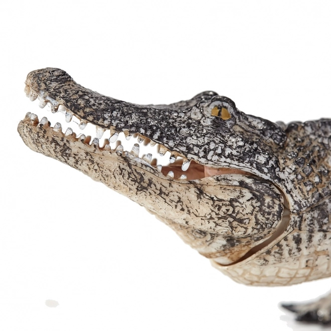 Mojo Animal Planet Aligator
