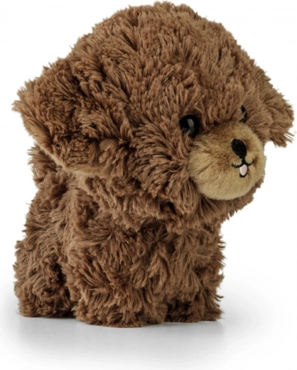 Urocze detale dla żywego wyrazu