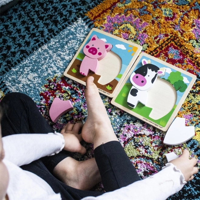 Bigjigs Toys Układanka Praśka