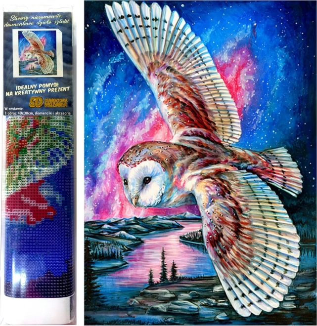 Norimpex Diamentowe malowanie Lot Sowy 30x40cm