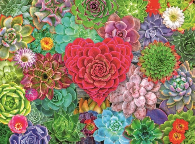Puzzle Sukulentowy raj 500 elementów