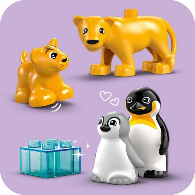 Lego Duplo Rodziny dzikich zwierząt: Pingwiny i lwy