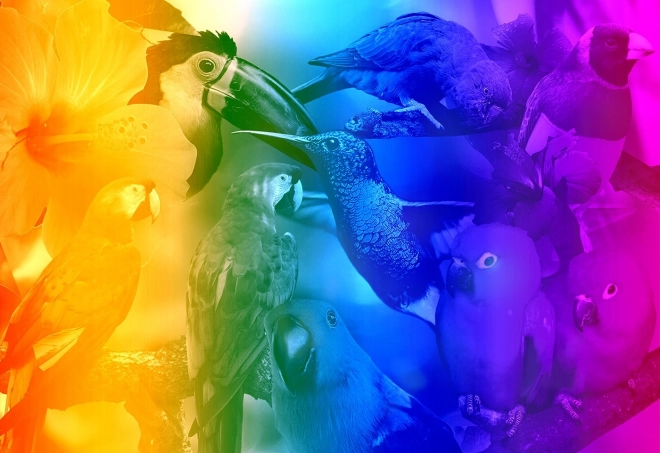Drewniane puzzle Ptasie Raj 2w1