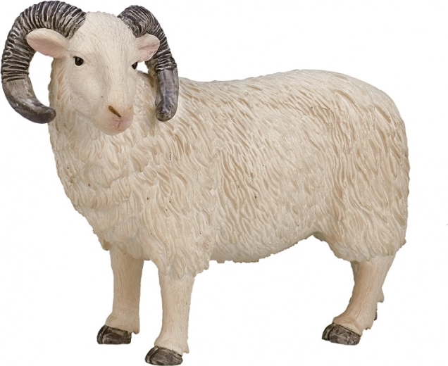 Realistyczny model do zabawy i nauki