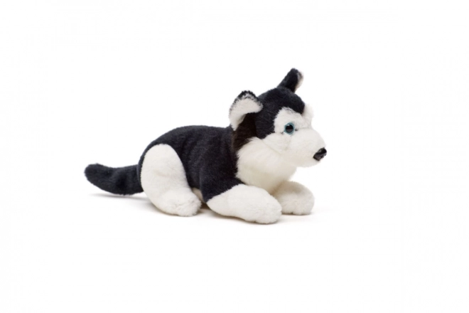 Pluszowy husky 15 cm