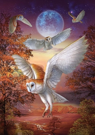 Puzzle Nocne sowy 1000 elementów ART PUZZLE