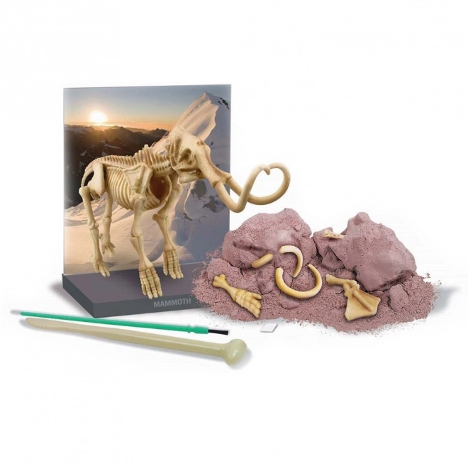 Wykopaliska - Mamut