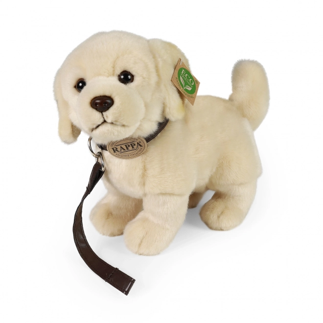 Pluszowy pies Golden Retriever z smyczą 25 cm