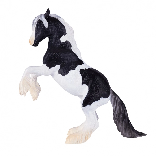 Mojo Ogier Gypsy Vanner