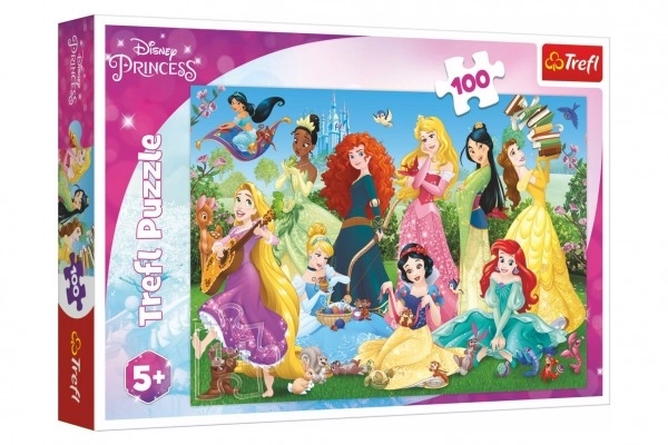 Puzzle Czarujące księżniczki/Disney 100 elementów 41x27,5cm w pudełku 29x19x4cm