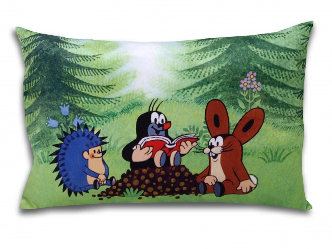 Poduszka Krecik 45x30 czytelnicy