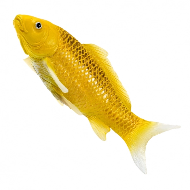Mojo karp koi Matsuba