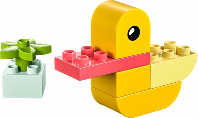 DUPLO Moja pierwsza kaczuszka 4 w 1