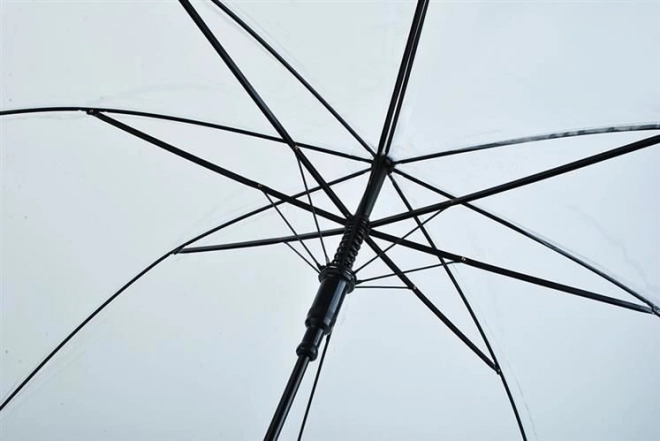 Przezroczysty parasol