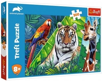 Puzzle Niesamowite zwierzęta 300 elementów 60 × 40 cm