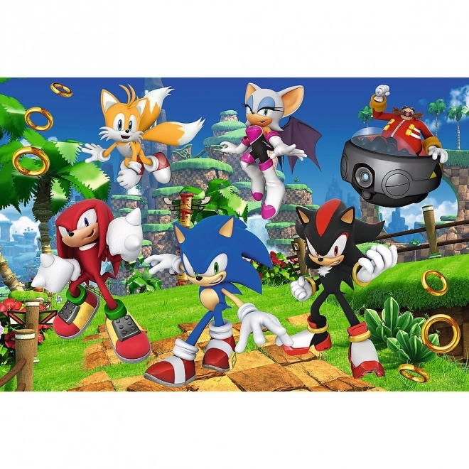 Puzzle Sonic i przyjaciele 160 elementów