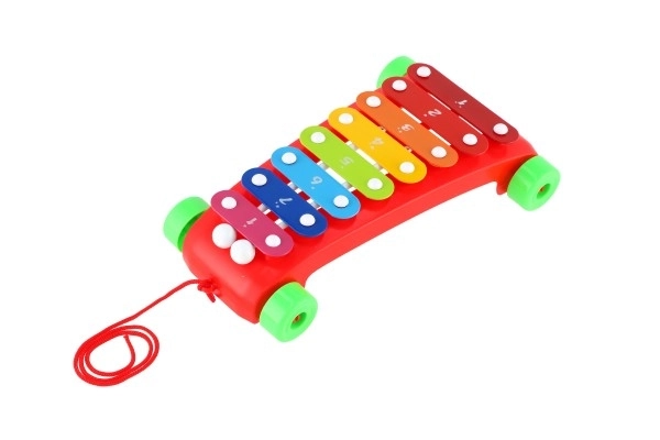 Ksylophon plastikowy/metalowy 24 cm z pałeczkami 2 kolory w woreczku 19x31x6 cm
