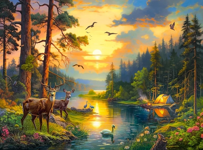 Puzzle 3000 kawałków Zachód słońca nad leśną rzeką