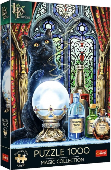 Trefl Puzzle Premium Plus Magic Collection: czarodziejski uczeń 1000 elementów