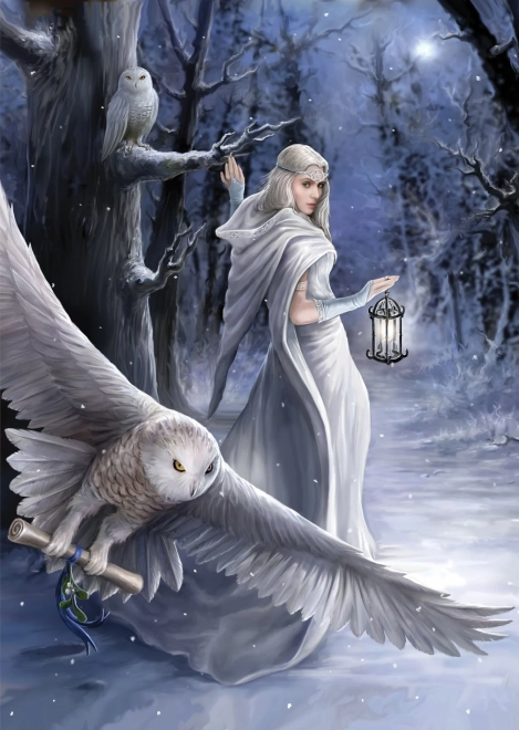 Puzzle Anne Stokes Północny posłaniec 1000 elementów