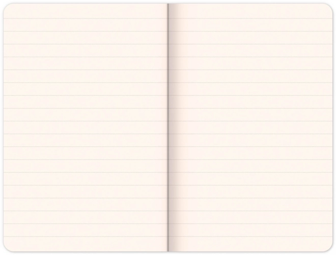 Notes Superman – Dzień Zguby