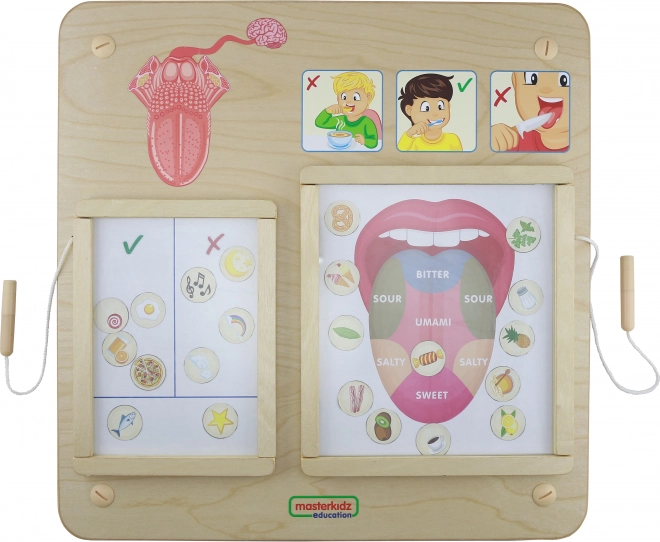 Masterkidz Edukacyjna Tablica Zmysł Smaku Montessori