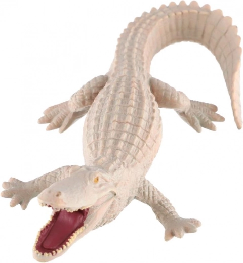 Wartość edukacyjna o rzadkim ubarwieniu