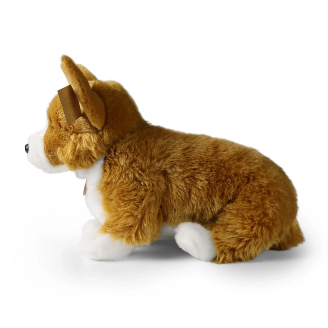 Pluszowy pies corgi 32 cm z ekologicznych materiałów