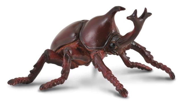 COLLECTA Nosorożek kapucynek