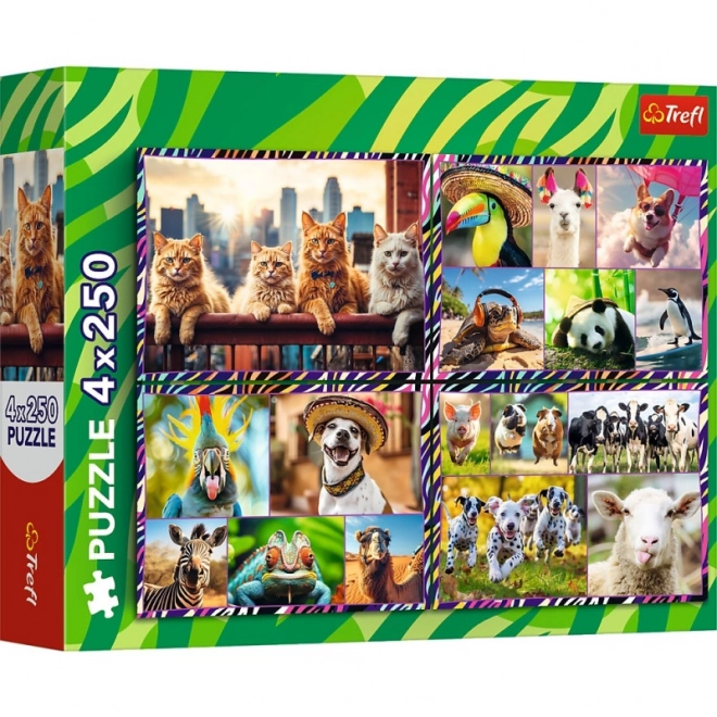 Puzzle 4x250 elementów Zabavne zwierzęta