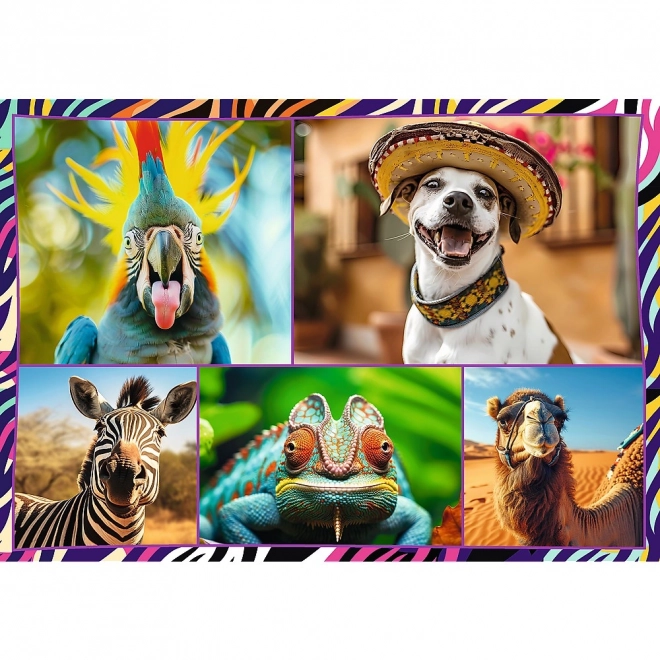 Puzzle 4x250 elementów Zabavne zwierzęta