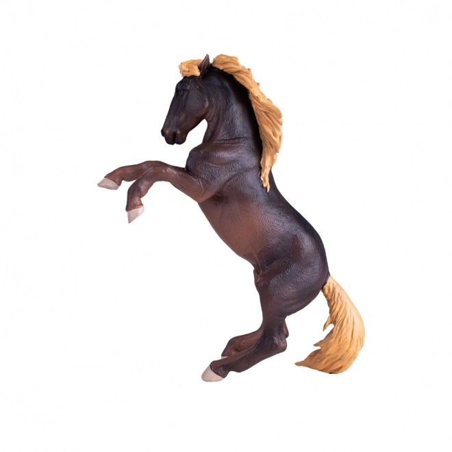 Mojo Ogier Brumby