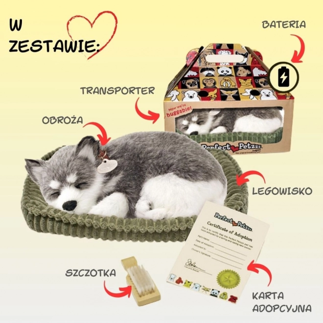 Zachwycający pluszak Alaski Husky