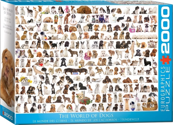EUROGRAPHICS puzzle Świat psów 2000 elementów
